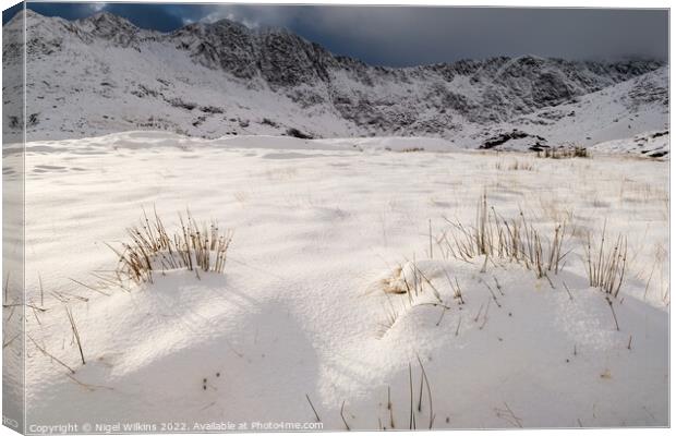 Y Lliwedd, Eryri Canvas Print by Nigel Wilkins