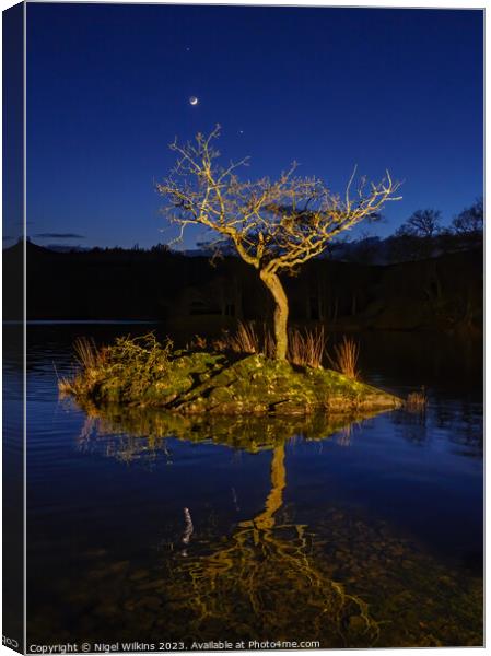 Rydal Water, Lake District Canvas Print by Nigel Wilkins