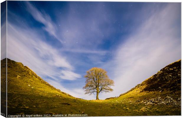 Sycamore Gap at Night Canvas Print by Nigel Wilkins