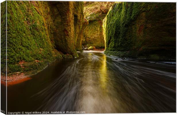 Devil's Pulpit Canvas Print by Nigel Wilkins