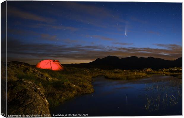 Under The Stars Canvas Print by Nigel Wilkins