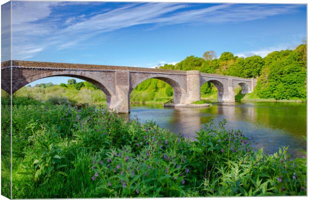 Majesty of the River Tweed Canvas Print by Michael Birch