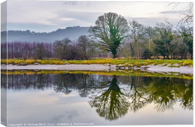 Serene Reflections of Autumn Canvas Print by Michael Birch