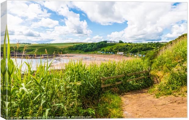 Majestic Path to Coldingham Bay Canvas Print by Michael Birch