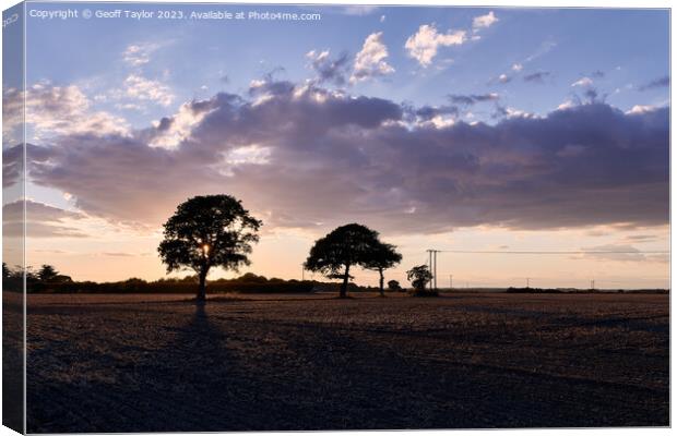 Silhoueted trees at sunset Canvas Print by Geoff Taylor