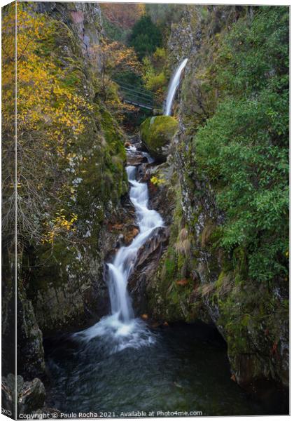 Moutain forest waterfall Canvas Print by Paulo Rocha