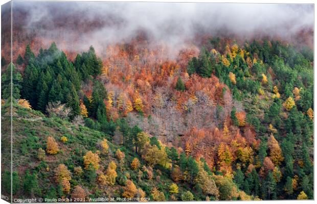 Hillside colorful autumn landscape Canvas Print by Paulo Rocha
