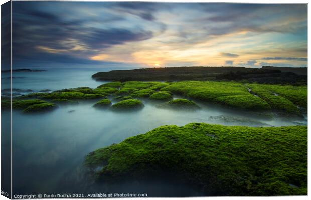 Green moss covered rocks in Magoito beach at sunset - Sintra, Portugal Canvas Print by Paulo Rocha