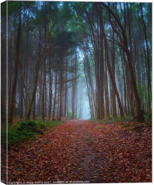 Foggy forest path in Sintra mountain, Portugal Canvas Print by Paulo Rocha