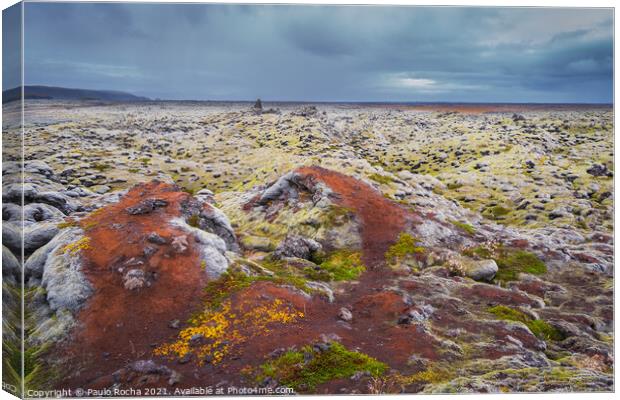Moss-covered Icelandic lava field Canvas Print by Paulo Rocha