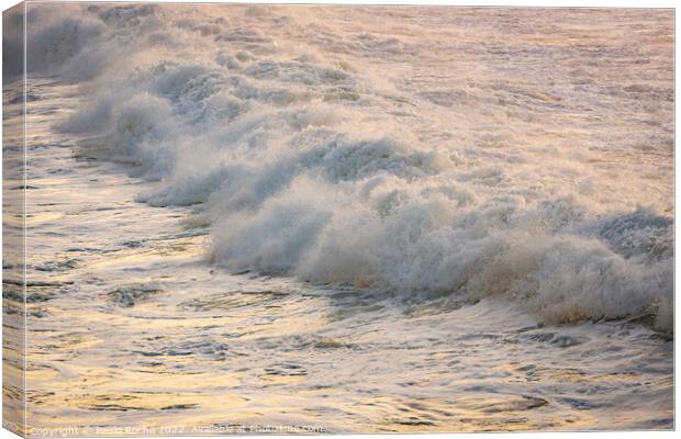 Ocean wave close up Canvas Print by Paulo Rocha