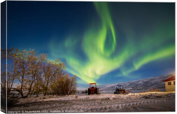 Northern lights in Laugar, Iceland Canvas Print by Paulo Rocha