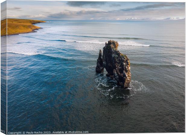 Hvitserkur rock formation in northern icelandic coast Canvas Print by Paulo Rocha