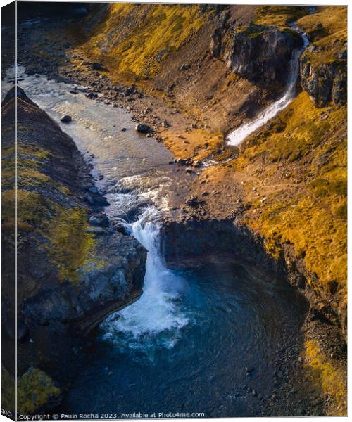 Benefoss waterfall in northern Iceland Canvas Print by Paulo Rocha