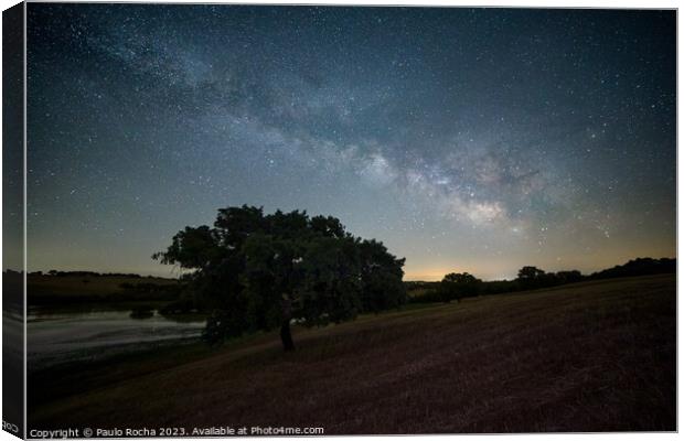 Night sky with milky way in Alentejo, Portugal Canvas Print by Paulo Rocha