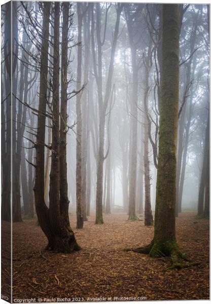 Forest with fog in Sintra Canvas Print by Paulo Rocha