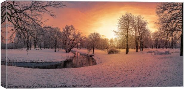 Sunset in snowy park  Canvas Print by Maria Vonotna