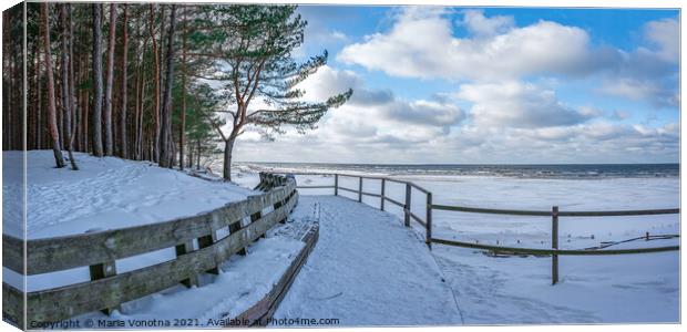Winter snow covered Baltic sea coast Canvas Print by Maria Vonotna