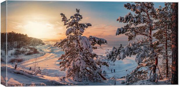 Snowy landscape at sunset Canvas Print by Maria Vonotna