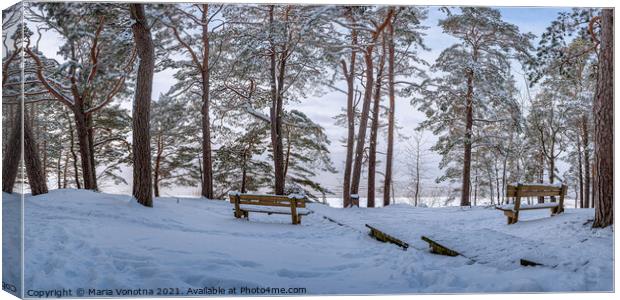 Two benches under trees in snowy forest Canvas Print by Maria Vonotna