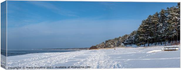 Panoramic view of snowy sea coast Canvas Print by Maria Vonotna