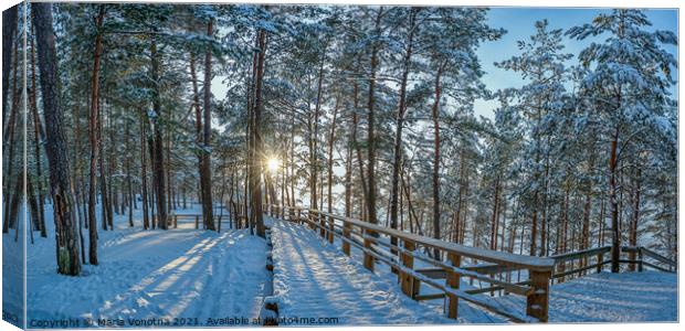 View of snowy pine forest with sun rays coming through and woode Canvas Print by Maria Vonotna