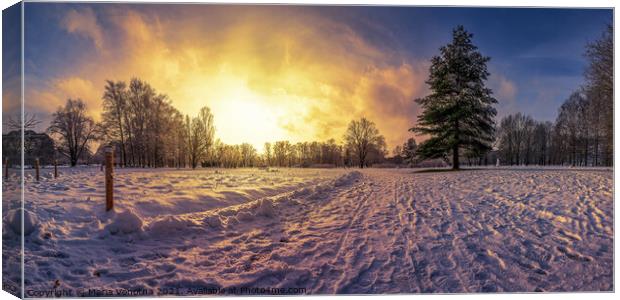 Sunset over covered in snow park with big fir tree Canvas Print by Maria Vonotna