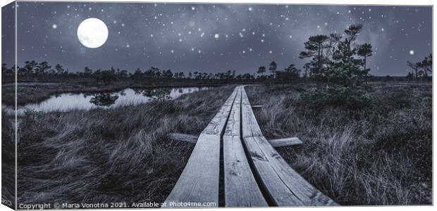Black and white photo of wooden trail across swamp Canvas Print by Maria Vonotna