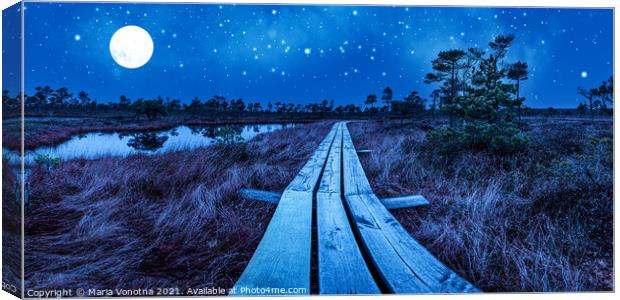 Wooden trail over night swamp Canvas Print by Maria Vonotna