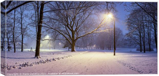 Street lights and covered in snow trees at night i Canvas Print by Maria Vonotna
