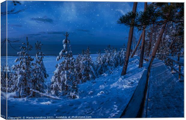Magic winter night landscape with snow covered fir Canvas Print by Maria Vonotna