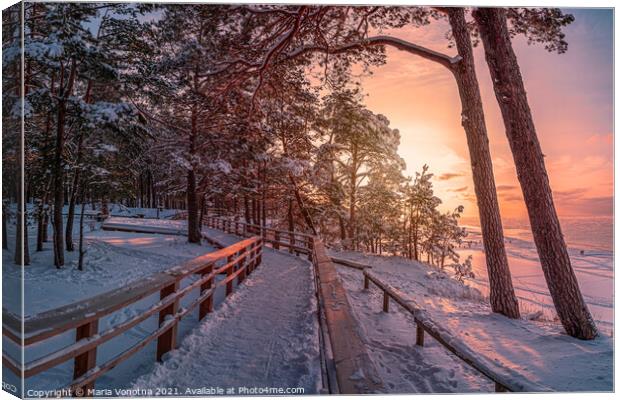 Winter landscape with sunset over covered in snow  Canvas Print by Maria Vonotna
