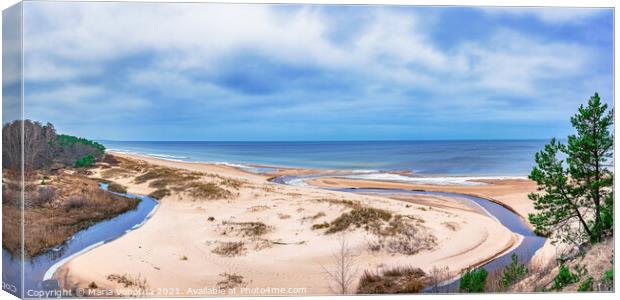 Sand beach and Baltic sea surrounded by conifer tr Canvas Print by Maria Vonotna