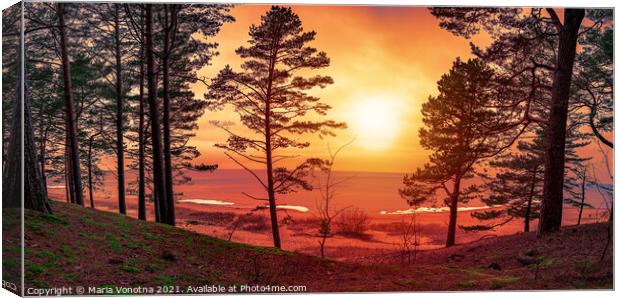 Colorful sunset over sea with pine trees silhouett Canvas Print by Maria Vonotna