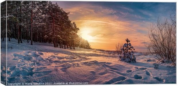 Sunset over winter landscape with snowy trees Canvas Print by Maria Vonotna