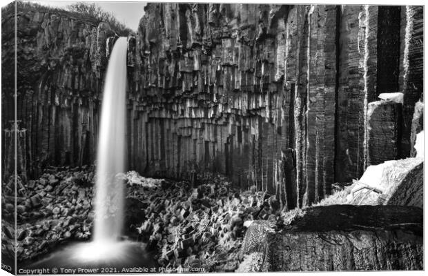 Svartifoss mono Canvas Print by Tony Prower