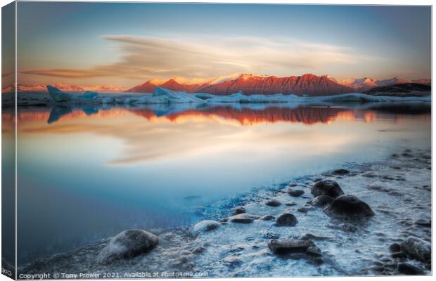 Frozen Shore Canvas Print by Tony Prower