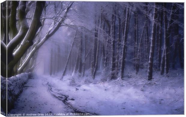 Peak District Winter Pathway - LPOTY 2021 Canvas Print by Andy Gray