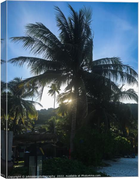 Redang Island Malaysia early morning sun rising behind a palm tr Canvas Print by johnseanphotography 