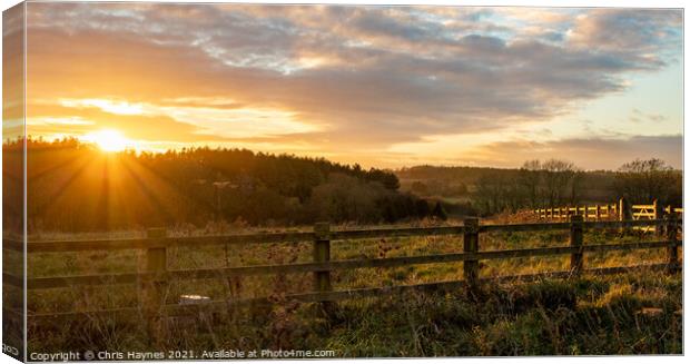 Sunset at Fineshade Wood, Northamptonshire Canvas Print by Chris Haynes