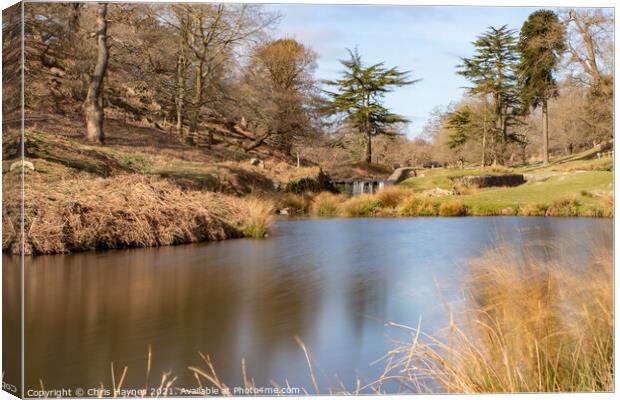 Bradgate Park Woodland and Water Canvas Print by Chris Haynes