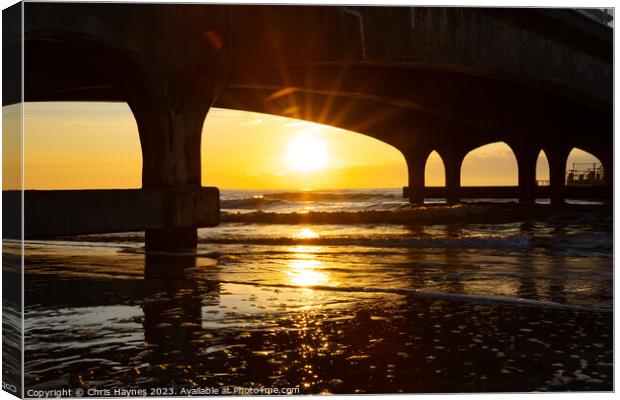 Under the Arches Canvas Print by Chris Haynes