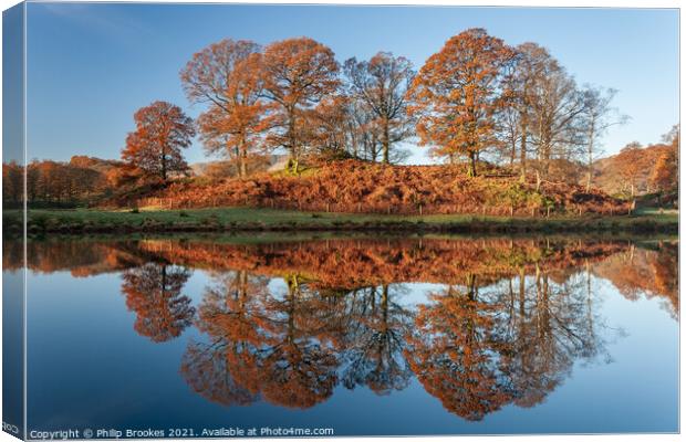 Elterwater in Autumn Canvas Print by Philip Brookes