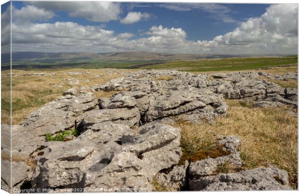 Great Asby Scar  Canvas Print by Philip Brookes