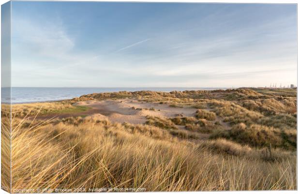 Wallasey Sand Dunes Canvas Print by Philip Brookes