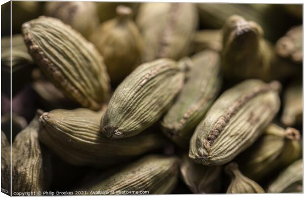 Closeup of Cardamom pods Canvas Print by Philip Brookes