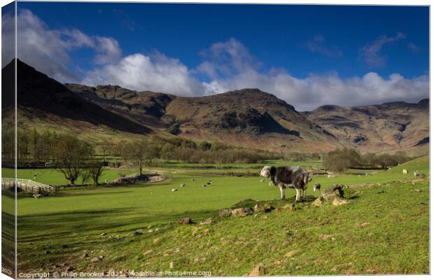 Pike o' Blisco and Langdale Valley Pasture Canvas Print by Philip Brookes