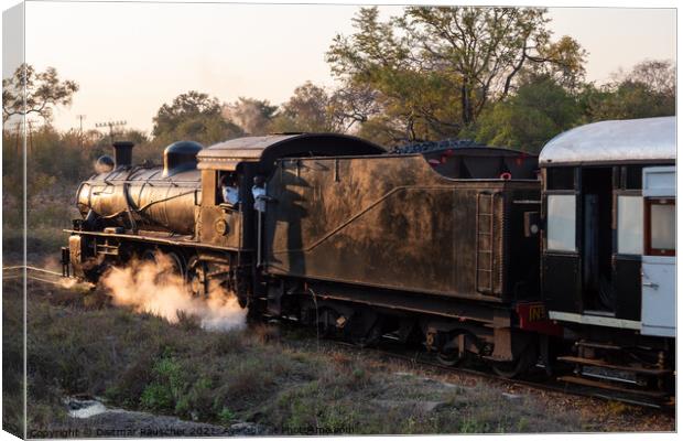 Steam Train at Victoria Falls, Zimbabwe Canvas Print by Dietmar Rauscher
