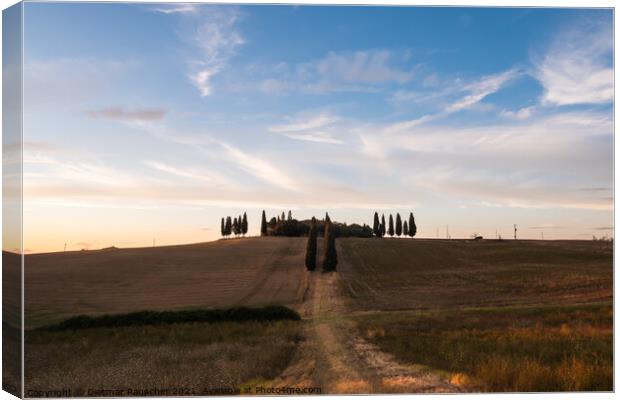 Villa Poggio Manzuoli or Gladiator House in Val d'Orcia, Tuscany Canvas Print by Dietmar Rauscher