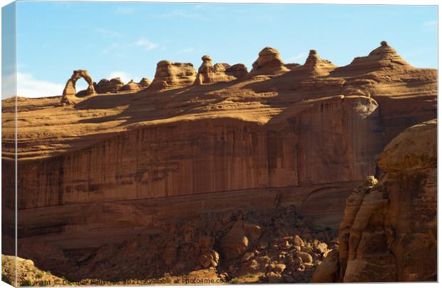 Delicate Arch in Arches National Park, Utah Canvas Print by Dietmar Rauscher